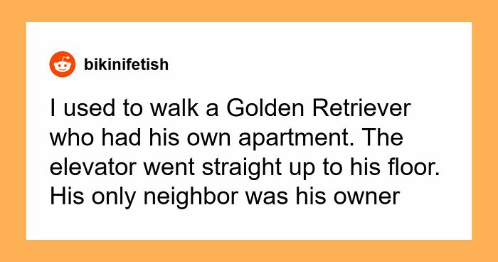 “$200 Worth Of Pizza For $1.3M”: 85 Times The Ultra-Rich Spent Money In Ways That Feel Almost Offensive