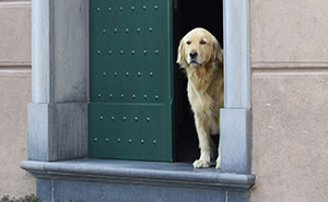 85 Rich People’s Employees Share The Most Absurdly Expensive Luxuries They’ve Encountered