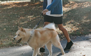 43 Homeowners Share The Most Unhinged HOA Rules They’ve Ever Encountered