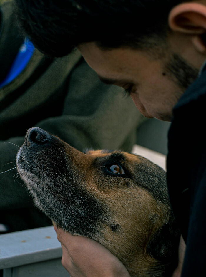 A man looks at his dog's face as he gently holds its chin, showing pets acted suspiciously like humans.