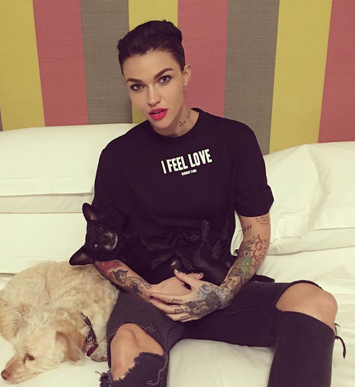 "I Can Start The Healing Process Now": After Making Grave Accusations Against Katy Perry, Ruby Rose Gives New Update On Case "I Can Start The Healing Process Now": After Making Grave Accusations Against Katy Perry, Ruby Rose Gives New Update On Case