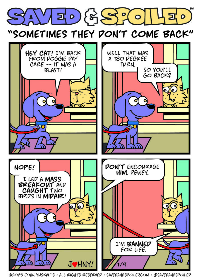 30 More Saved & Spoiled Comics About Life With A Rescue Dog And A Very Spoiled Cat