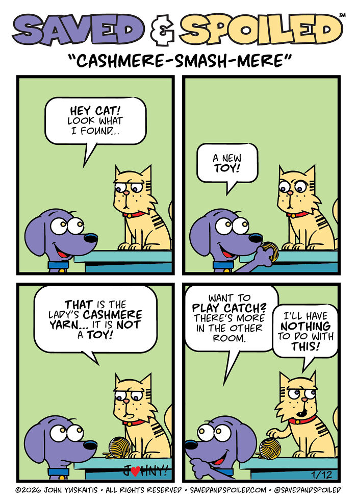 30 More Saved & Spoiled Comics About Life With A Rescue Dog And A Very Spoiled Cat