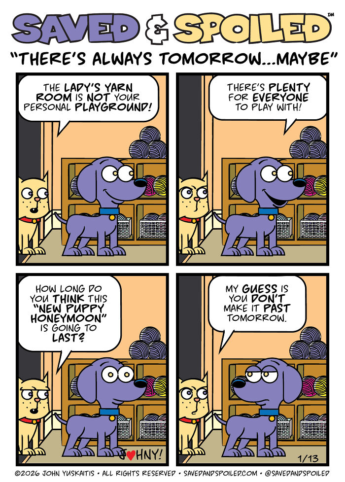 30 More Saved & Spoiled Comics About Life With A Rescue Dog And A Very Spoiled Cat