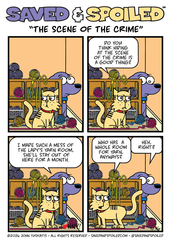 30 More Saved & Spoiled Comics About Life With A Rescue Dog And A Very Spoiled Cat