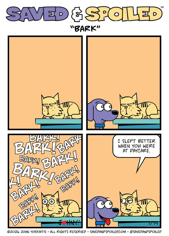 30 More Saved & Spoiled Comics About Life With A Rescue Dog And A Very Spoiled Cat