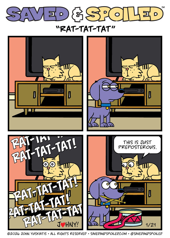 30 More Saved & Spoiled Comics About Life With A Rescue Dog And A Very Spoiled Cat