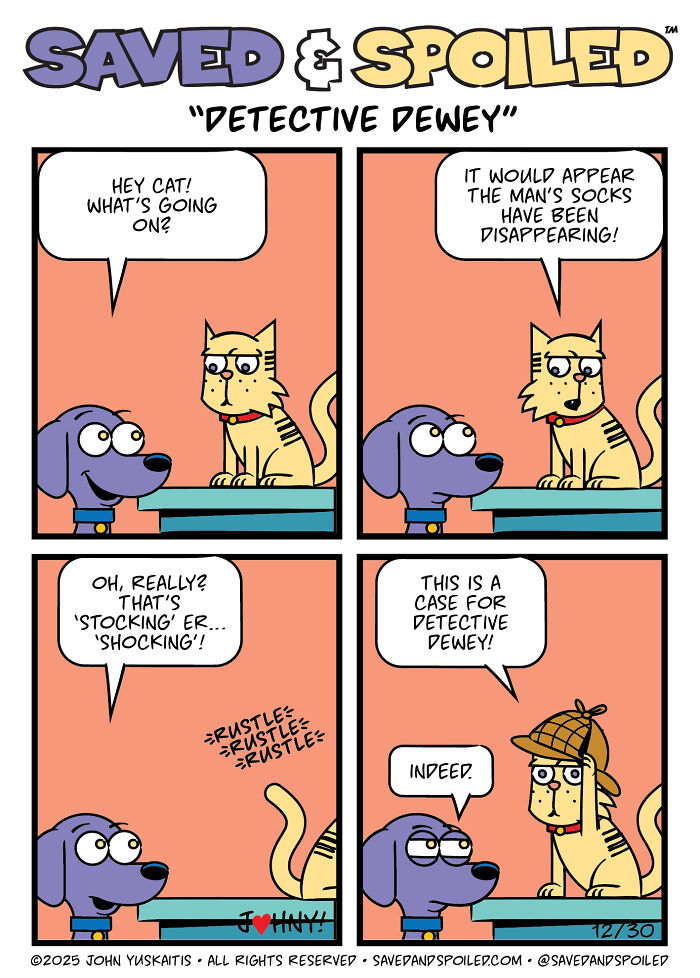 30 More Saved & Spoiled Comics About Life With A Rescue Dog And A Very Spoiled Cat