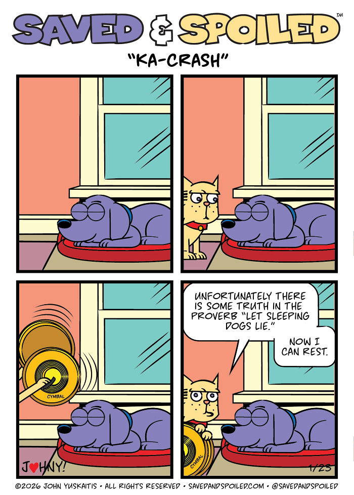 30 More Saved & Spoiled Comics About Life With A Rescue Dog And A Very Spoiled Cat