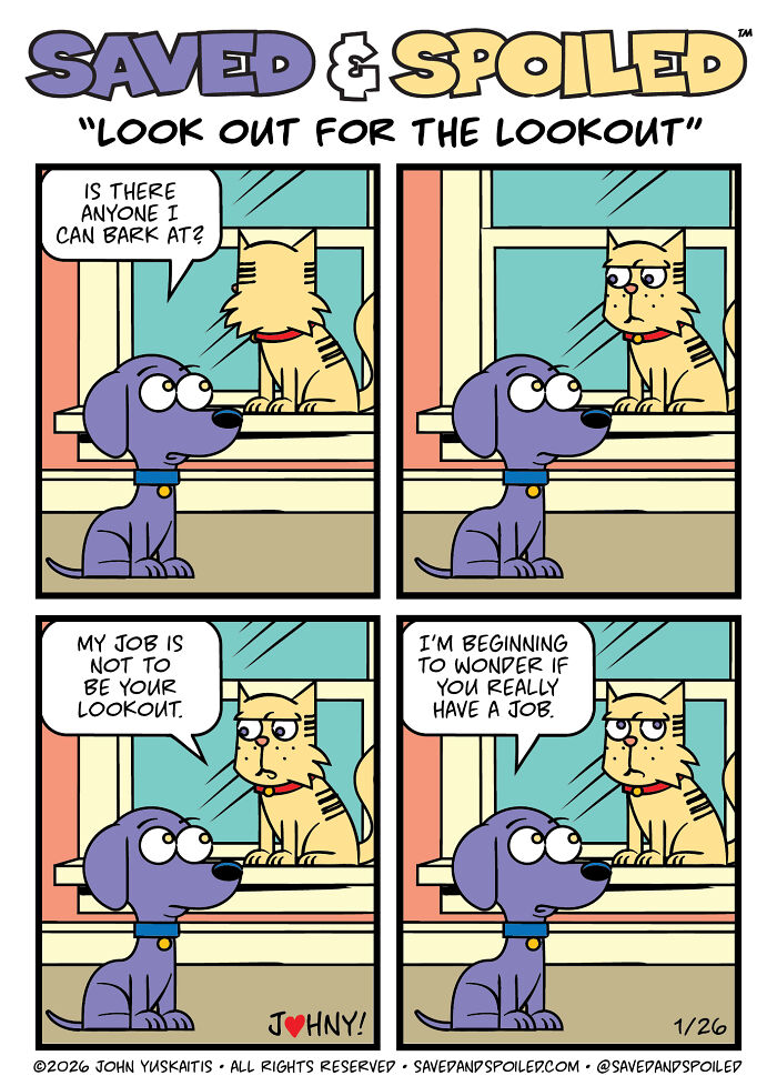 30 More Saved & Spoiled Comics About Life With A Rescue Dog And A Very Spoiled Cat