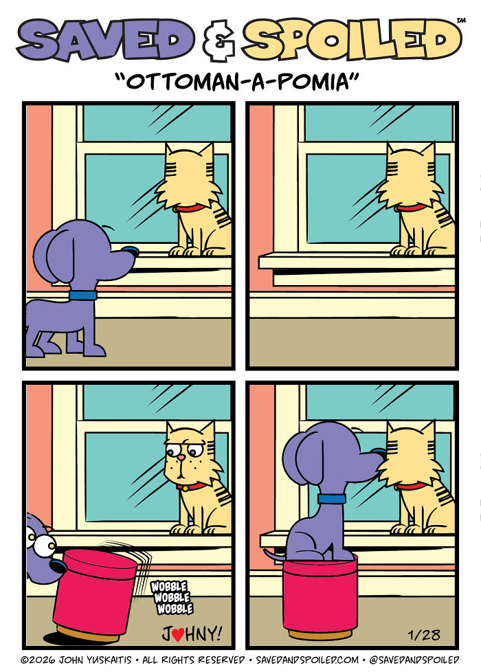 30 More Saved & Spoiled Comics About Life With A Rescue Dog And A Very Spoiled Cat
