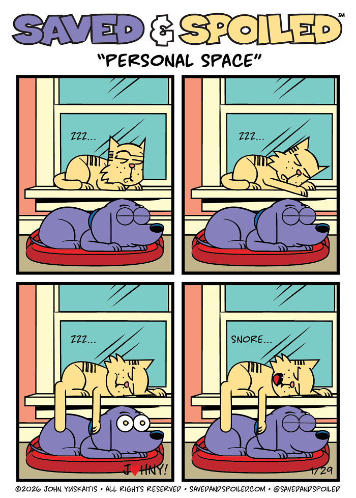30 More Saved & Spoiled Comics About Life With A Rescue Dog And A Very Spoiled Cat