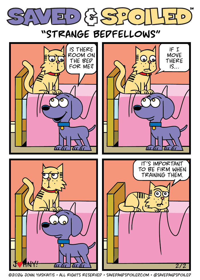 30 More Saved & Spoiled Comics About Life With A Rescue Dog And A Very Spoiled Cat