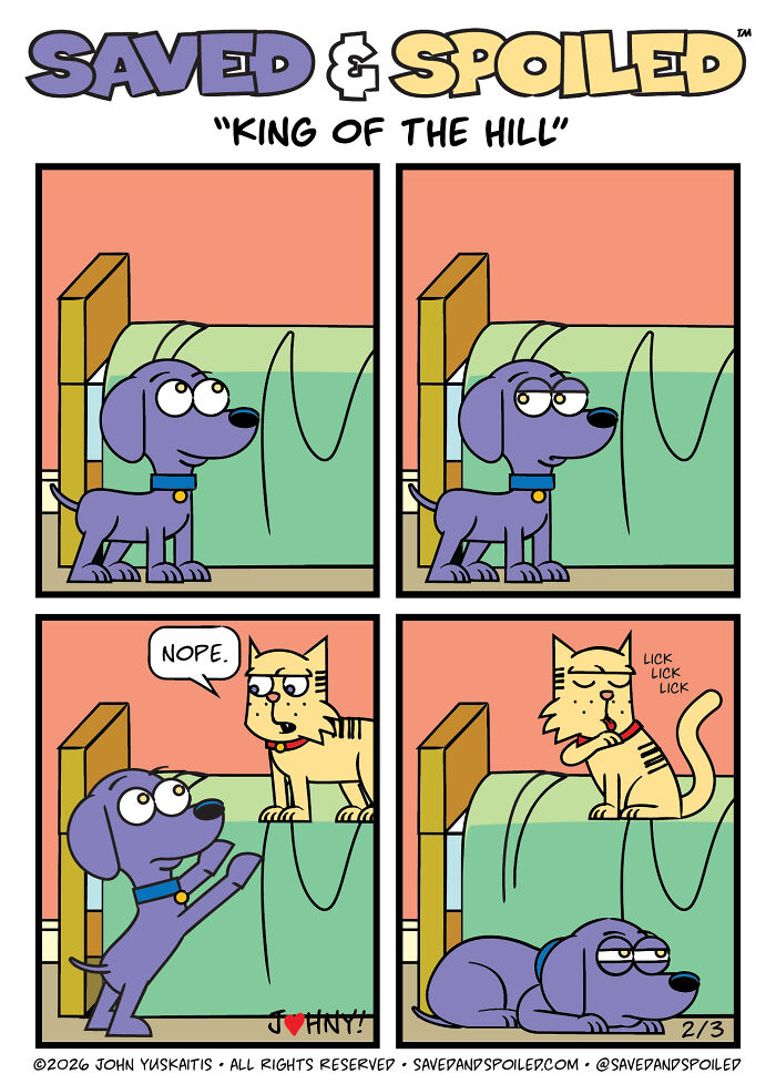 30 More Saved & Spoiled Comics About Life With A Rescue Dog And A Very Spoiled Cat