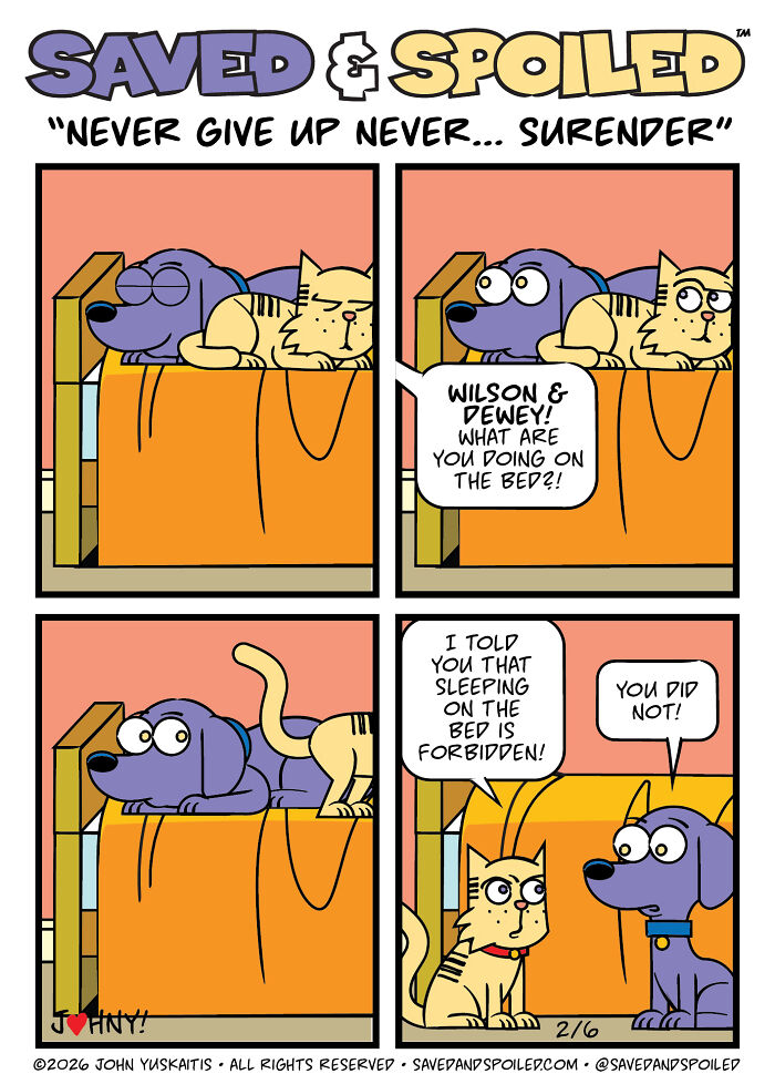 30 More Saved & Spoiled Comics About Life With A Rescue Dog And A Very Spoiled Cat