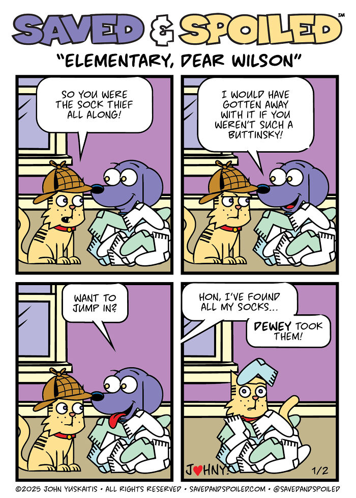 30 More Saved & Spoiled Comics About Life With A Rescue Dog And A Very Spoiled Cat