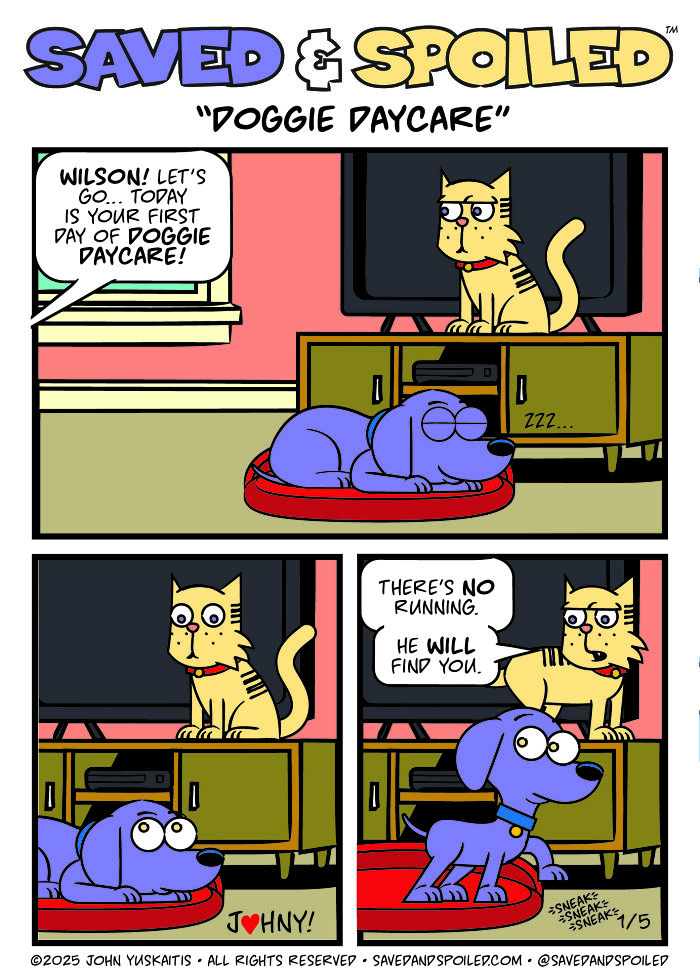 30 More Saved & Spoiled Comics About Life With A Rescue Dog And A Very Spoiled Cat