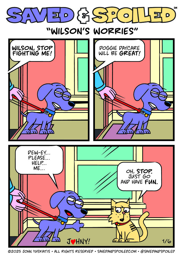 30 More Saved & Spoiled Comics About Life With A Rescue Dog And A Very Spoiled Cat
