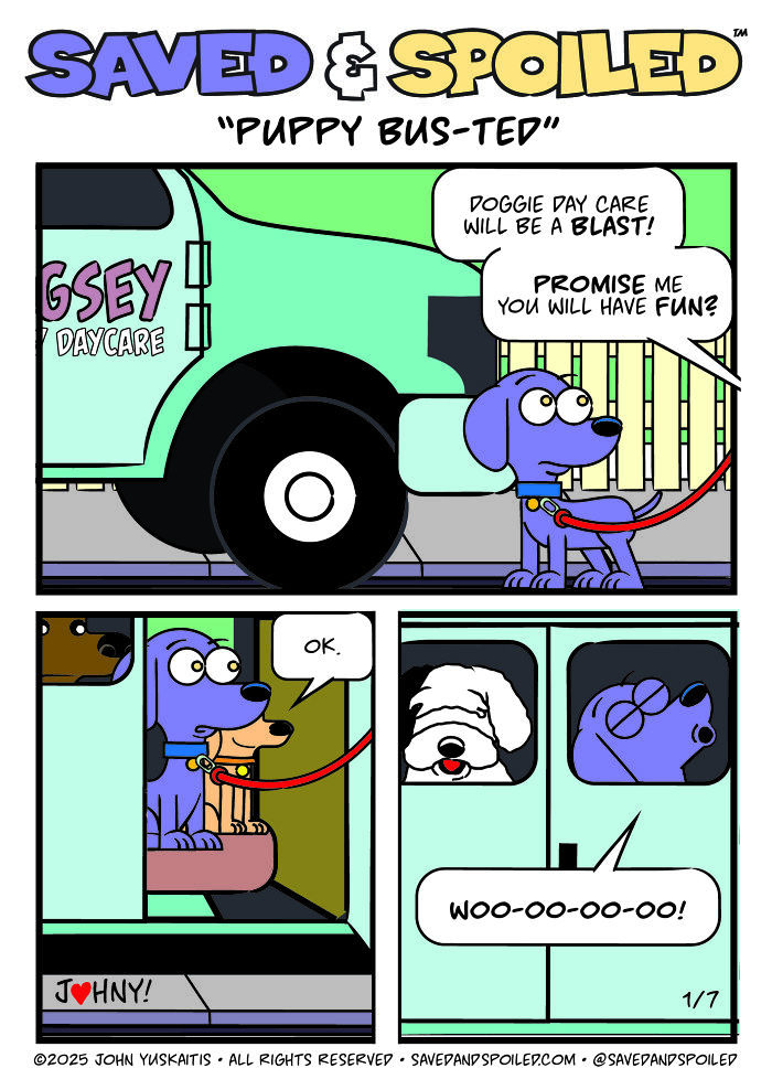 30 More Saved & Spoiled Comics About Life With A Rescue Dog And A Very Spoiled Cat