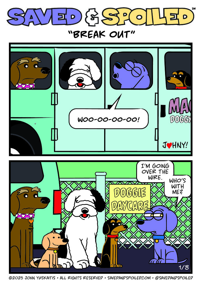 30 More Saved & Spoiled Comics About Life With A Rescue Dog And A Very Spoiled Cat