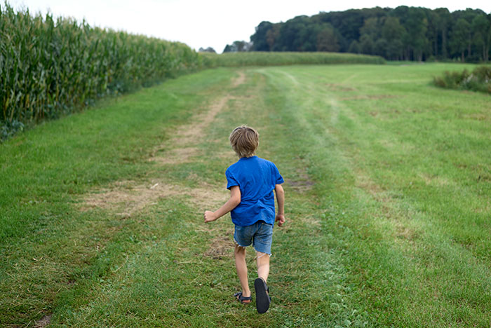 A young boy in a blue shirt and shorts runs down a grassy path next to a cornfield, evoking scary experiences.