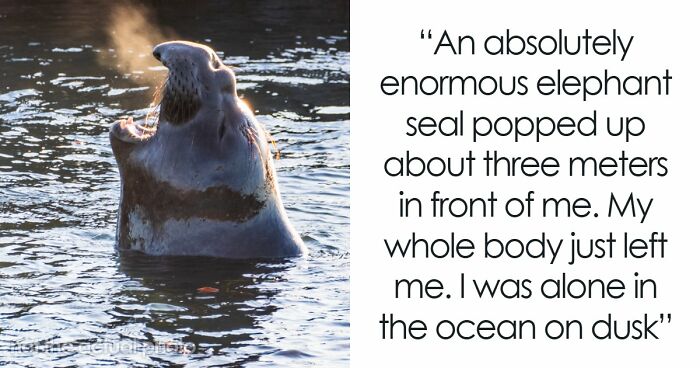 “Don’t Really Care If Anyone Believes Me Or Not”: 47 Scary Experiences People Wish To Forget