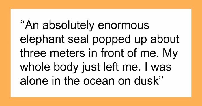 “Don’t Really Care If Anyone Believes Me Or Not”: 47 Scary Experiences People Wish To Forget