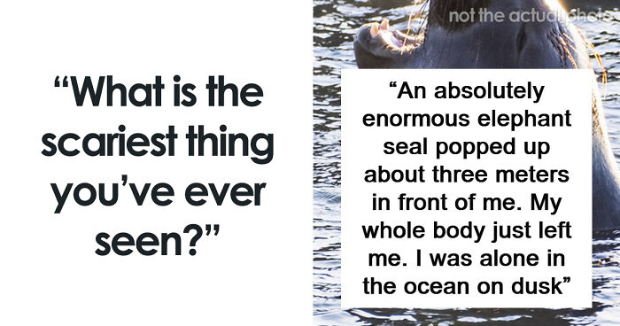 “Don’t Really Care If Anyone Believes Me Or Not”: 47 Scary Experiences People Wish To Forget