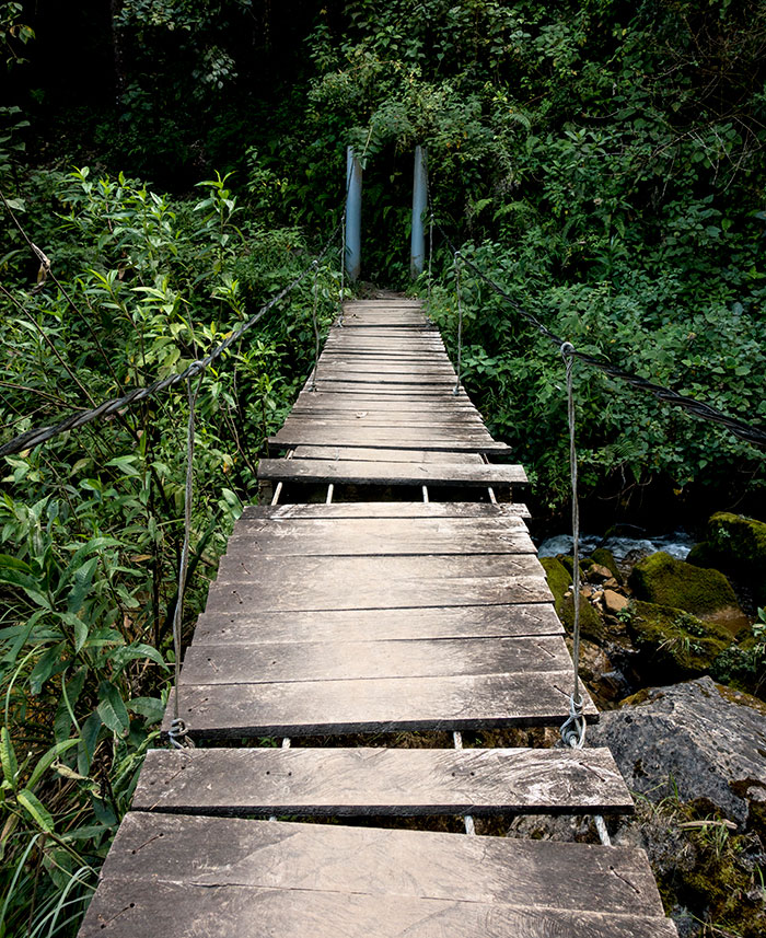 Dilapidated rope bridge stretching through dense jungle foliage, evoking scary experiences and things people wish to forget.