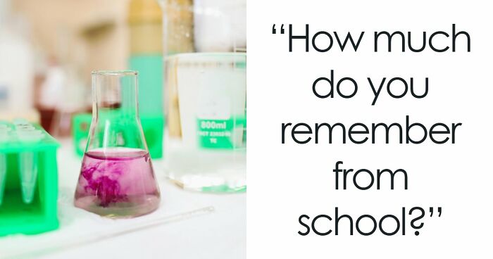 We Put Together A 28-Question School Trivia Quiz – Any Score Above 24 Is Seriously Impressive