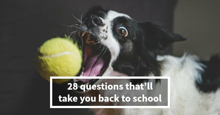 We Put Together A 28-Question School Trivia Quiz – Any Score Above 24 Is Seriously Impressive