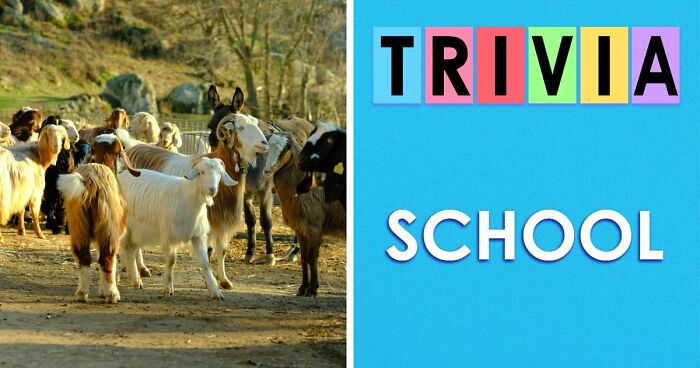 We Put Together A 28-Question School Trivia Quiz – Any Score Above 24 Is Seriously Impressive