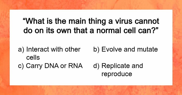 We Put Together A 28-Question School Trivia Quiz – Any Score Above 24 Is Seriously Impressive