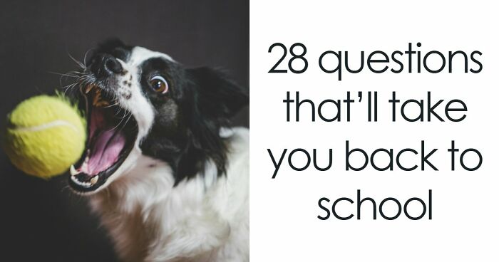 We Put Together A 28-Question School Trivia Quiz – Any Score Above 24 Is Seriously Impressive