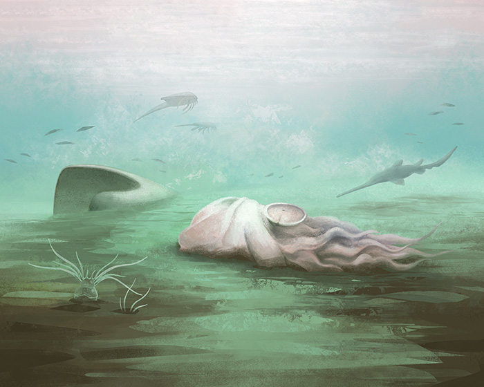 Scientists Baffled After World Guinness 'Oldest' Octopus Turns Out To Not Be An Octopus At All Scientists Baffled After World Guinness 'Oldest' Octopus Turns Out To Not Be An Octopus At All