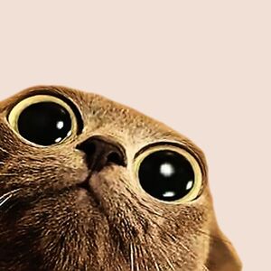 tobirichardfaulkner avatar