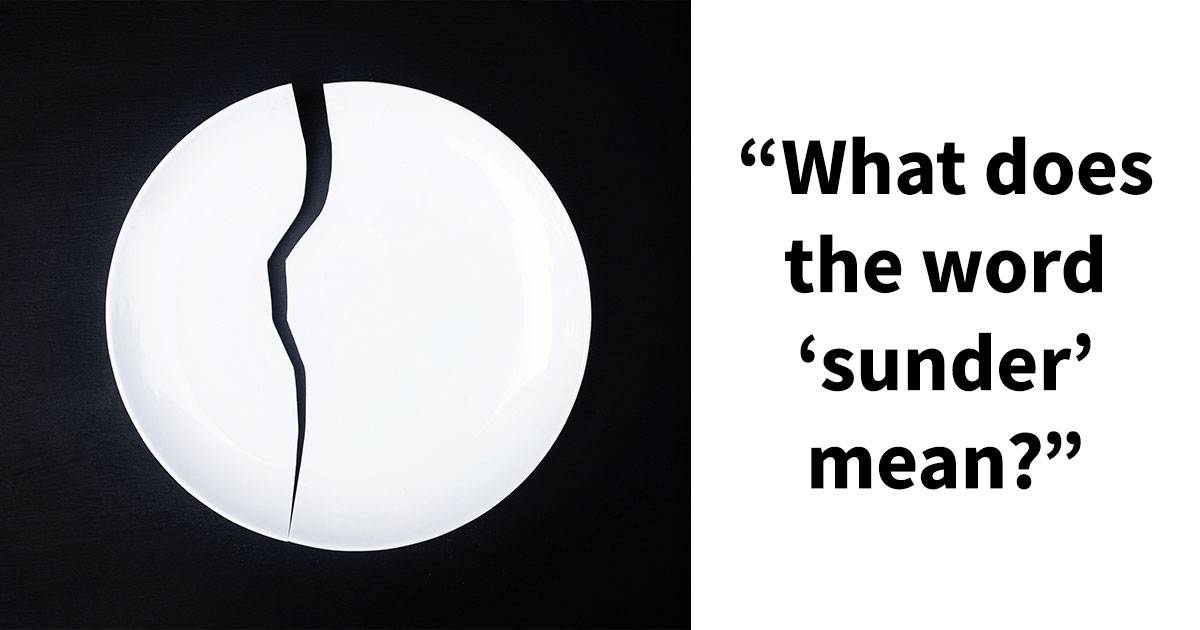 24 Advanced English Words That Separate Smart People From The Obtuse