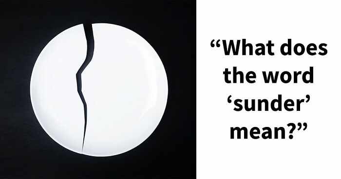 24 Advanced English Words That Separate Smart People From The Obtuse