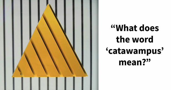 24 Advanced English Words That Separate Smart People From The Obtuse