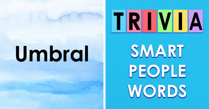 24 Advanced English Words That Separate Smart People From The Obtuse