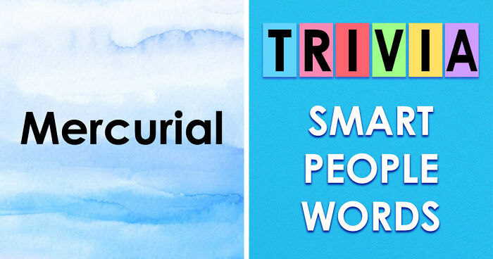 24 Advanced English Words That Separate Smart People From The Obtuse