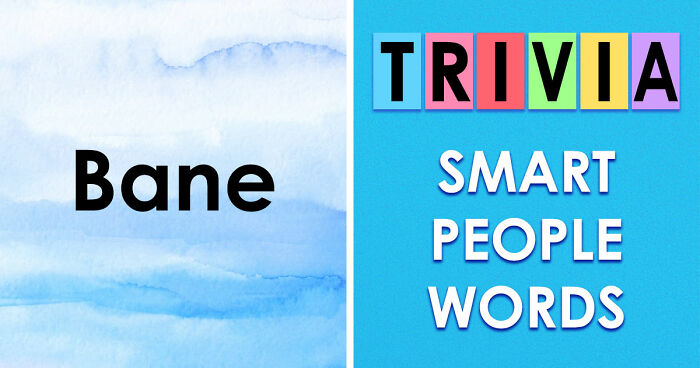 24 Advanced English Words That Separate Smart People From The Obtuse