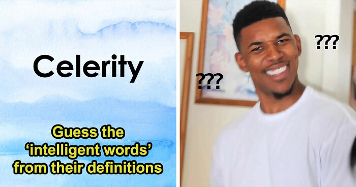 24 Advanced English Words That Separate Smart People From The Obtuse