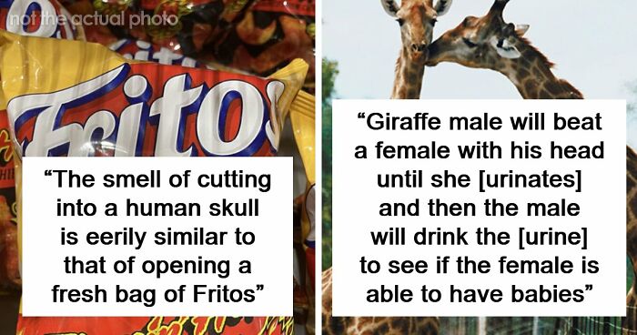69 Fascinating And Unsettling Facts That Might Make People Wonder Why In The World Anyone Would Know Them