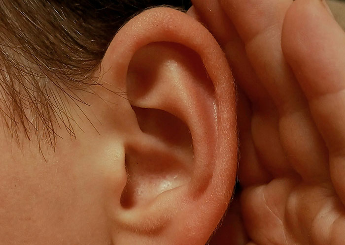 69 People Share The Most Bizarre Facts They’ve Ever Learned That Are Actually True