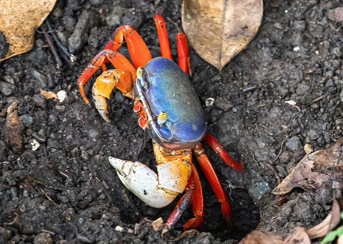 69 People Share The Most Bizarre Facts They’ve Ever Learned That Are Actually True