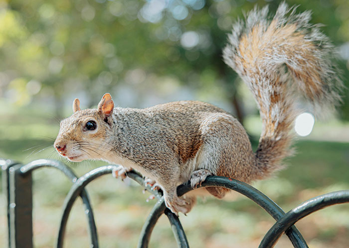 69 People Share The Most Bizarre Facts They’ve Ever Learned That Are Actually True