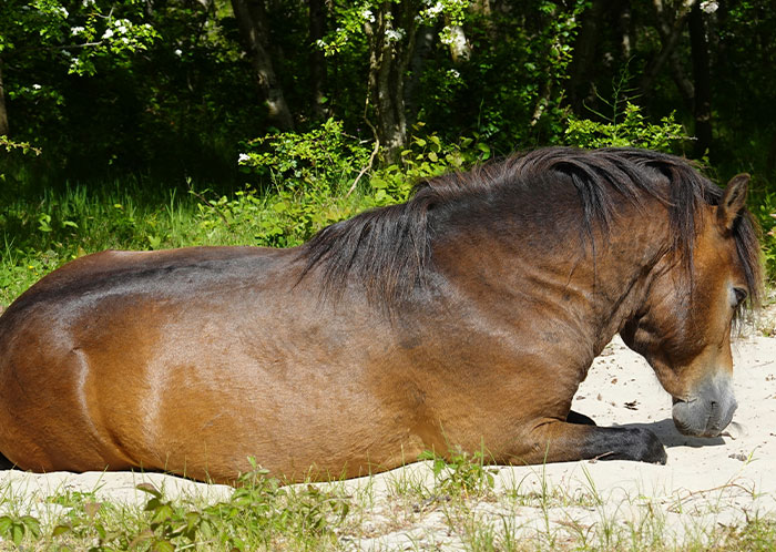 69 People Share The Most Bizarre Facts They’ve Ever Learned That Are Actually True