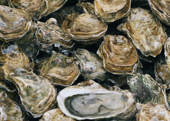 69 People Share The Most Bizarre Facts They’ve Ever Learned That Are Actually True