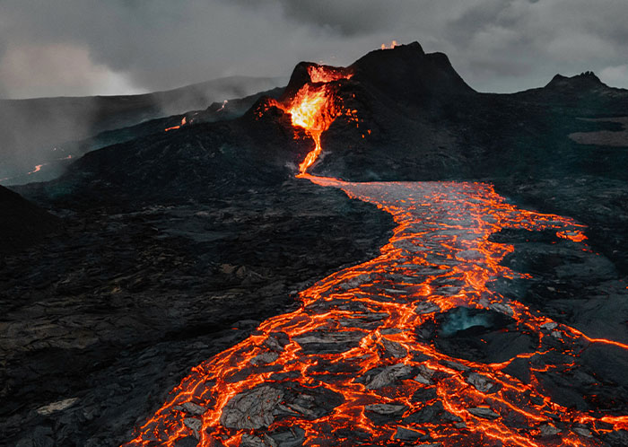 69 People Share The Most Bizarre Facts They’ve Ever Learned That Are Actually True